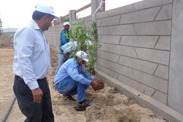 Tree Plantation by Nandan, Dholka Plant